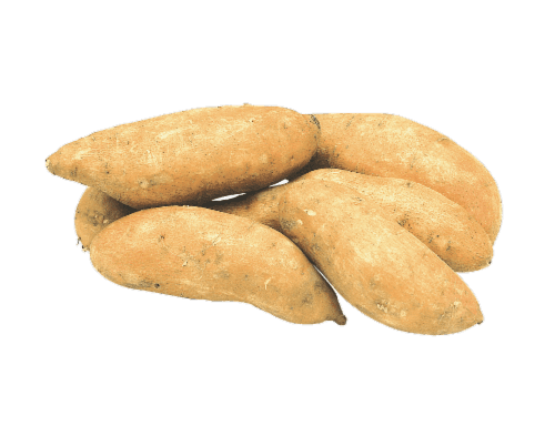 Organic White Sweet Potatoes