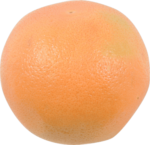 Small Organic Deep Red Grapefruit