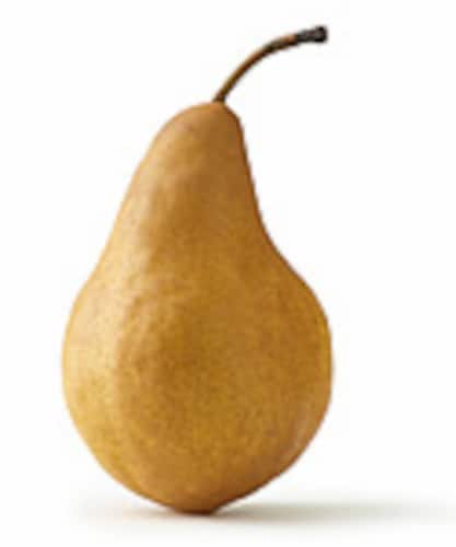 Organic Large Bosc Pear