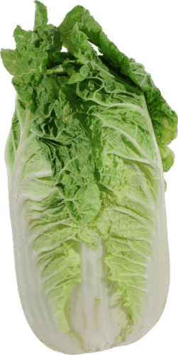 Organic Napa Cabbage