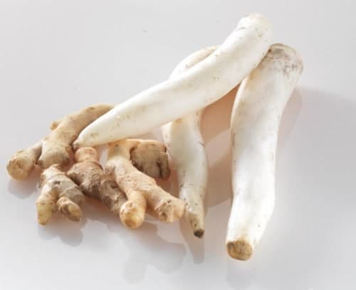 Organic Daikon Radish