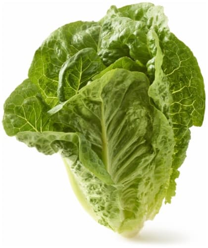 Fresh Lettuce, Organic, Romaine