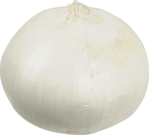 Organic White Onions