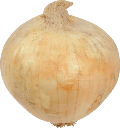 Jumbo Organic Yellow Onions