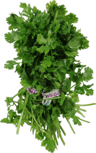 Fresh Cilantro, Organic