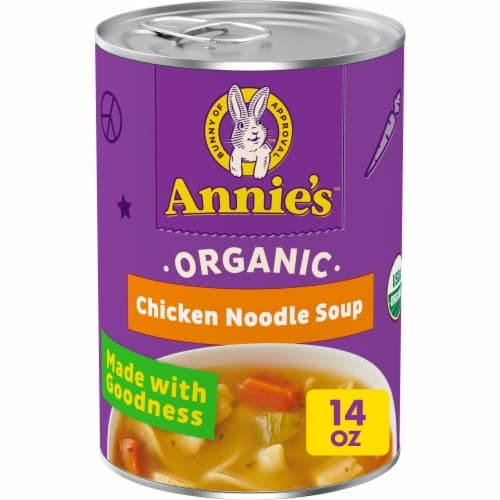 Is it Low Histamine? Annies Homegrown Soup Organic Chicken Noodle