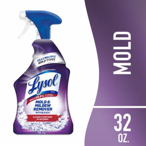 Lysol Mold & Mildew Remover, With Bleach