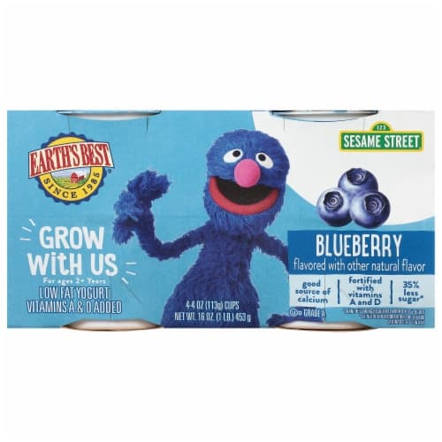 Earth'S Best Blueberry Low Fat Yogurt Pouches