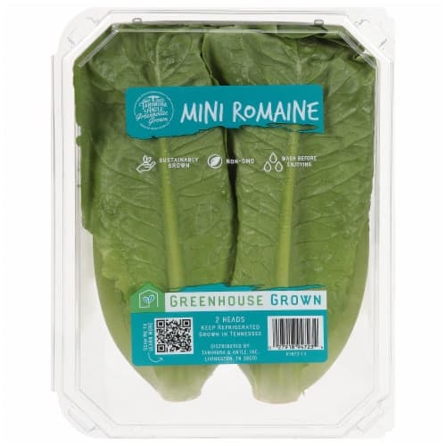 Hydro Mini Romaine Lettuce Heads