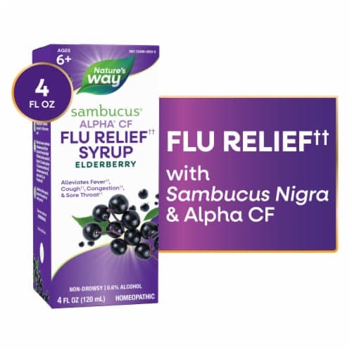 Nature'S Way Sambucus Flucare Elderberry Syrup