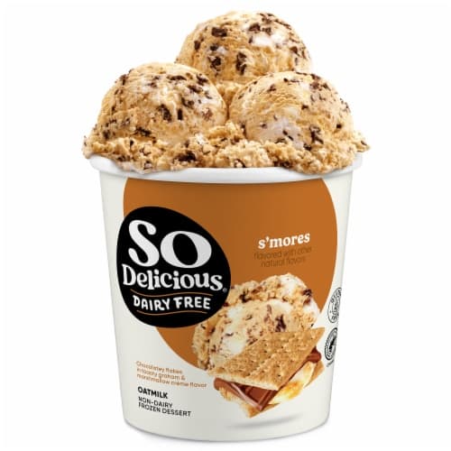 So Delicious Dairy Free S'mores Oatmilk Non-dairy Dessert