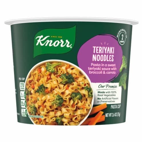 Knorr Teriyaki Noodles Pasta