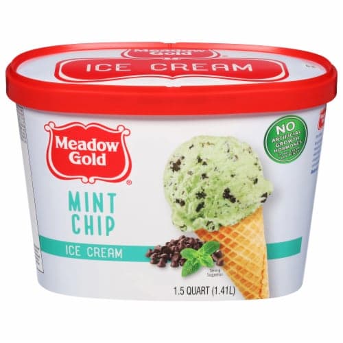 Meadow Gold Mint Chocolate Chip Ice Cream Tub