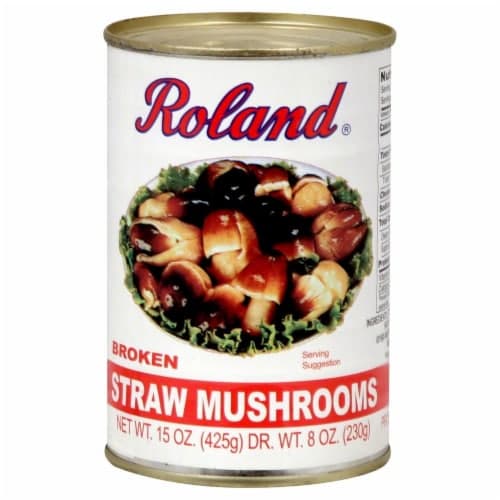 Roland Straw Mushrooms, Broken
