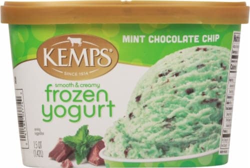 Kemps Smooth & Creamy Mint Chocolate Chip  Yogurt Tub
