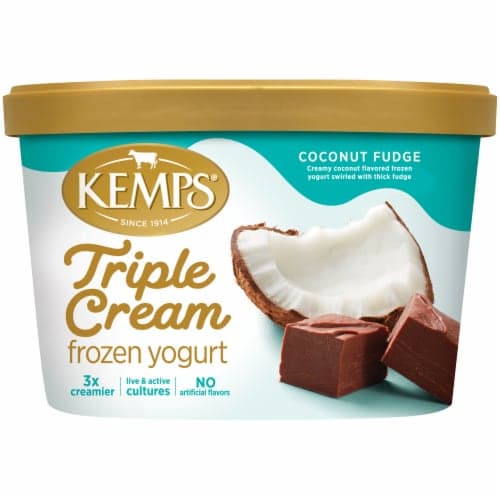 Kemps Triple Cream Coconut Fudge  Yogurt