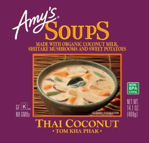 Amy's Kitchen - Amy's Organic Cream of Mushroom Soup