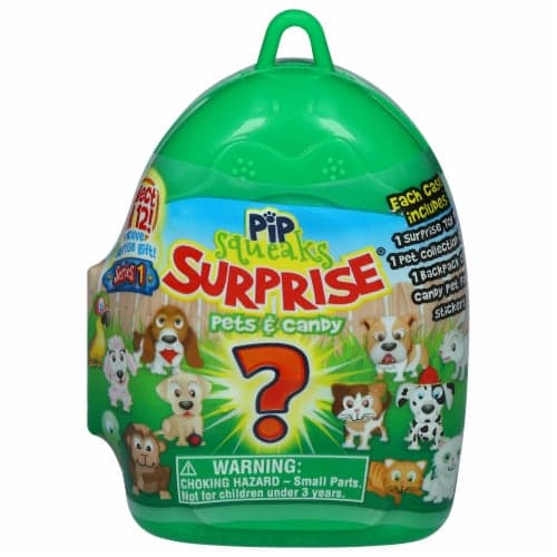 The Foreign Candy Company Pip Squeaks Surprise Toy