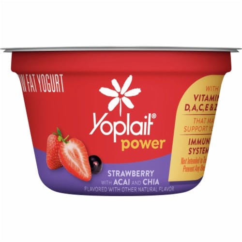 Is it Vegan? Upstate Blueberry Yogurt