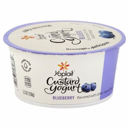 Yoplait Blueberry Custard Yogurt