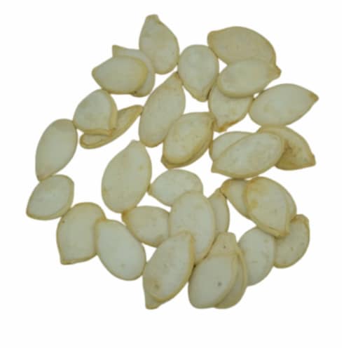 Packer Squash Seeds