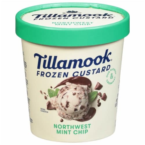 Tillamook Northwest Mint Chip  Custard Dessert