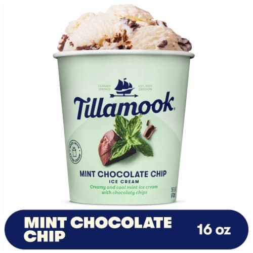 Tillamook Mint Chocolate Chip