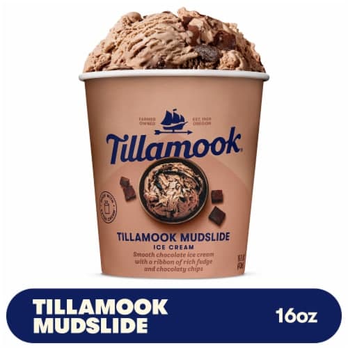 Tillamook Mudslide