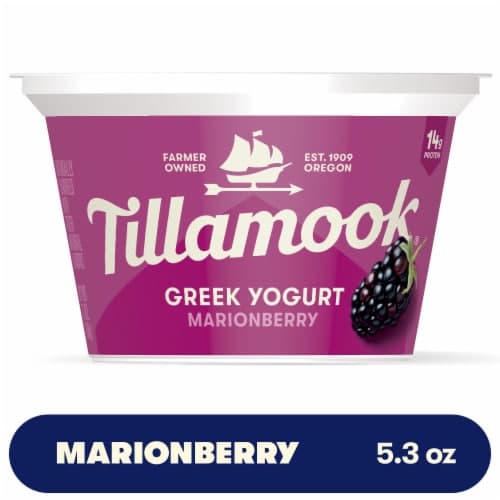 Tillamook Oregon Marionberry 2% Low Fat Greek Yogurt