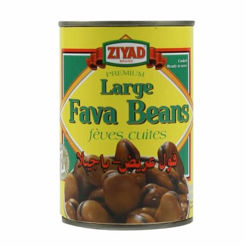 Ziyad Large Fava Beans
