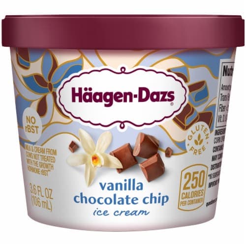 Haagen Dazs Vanilla Chocolate Chip Ice Cream