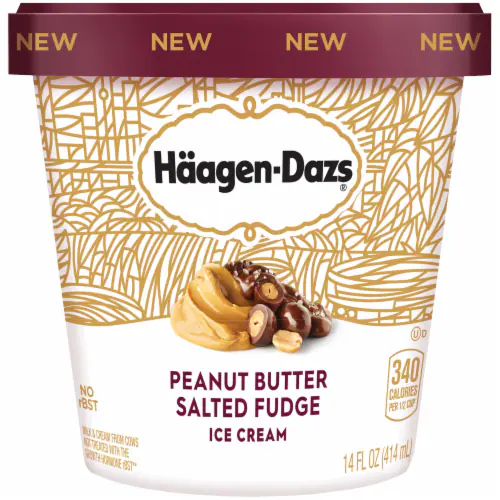Haagen Dazs Peanut Butter Fudge