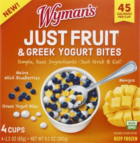Wyman'S Just Fruit & Greek Yogurt Bites, Maine Wild Blueberries, Mangos
