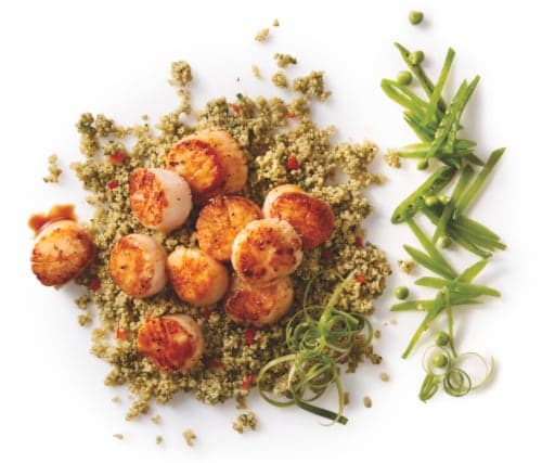 Sea Scallops