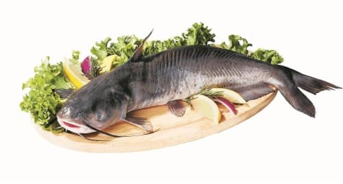 Whole Catfish