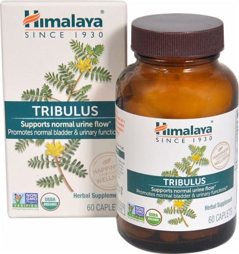 Himalaya  Tribulus