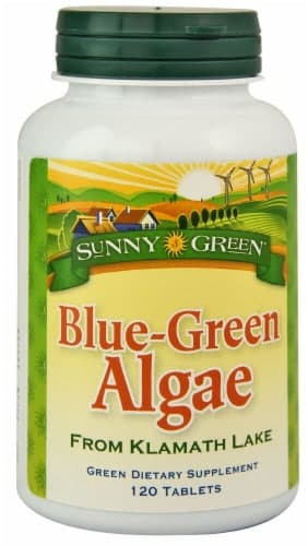 Sunny Green Blue Green Algae