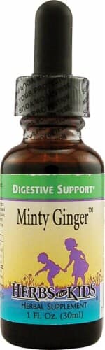 Herbs For Kids  Minty Ginger