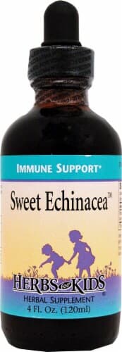 Herbs For Kids  Sweet Echinacea