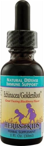 Herbs For Kids  Echinacea Goldenroot   Blackberry