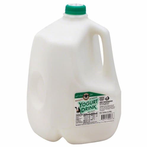 Karoun Dairies Mint Flavor Yogurt Drink