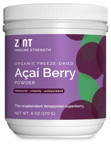 Zint Organic Freeze-Dried Acai Berry Powder