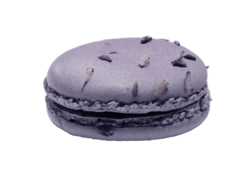 Duverger Blueberry Lemon French Macaron