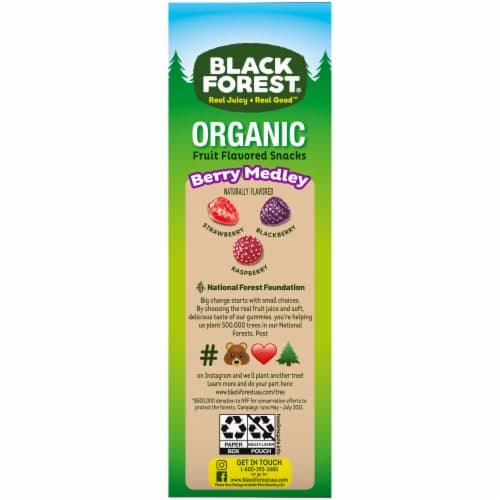 Black Forest Organic Berry Medley Fruit Flavored Snacks