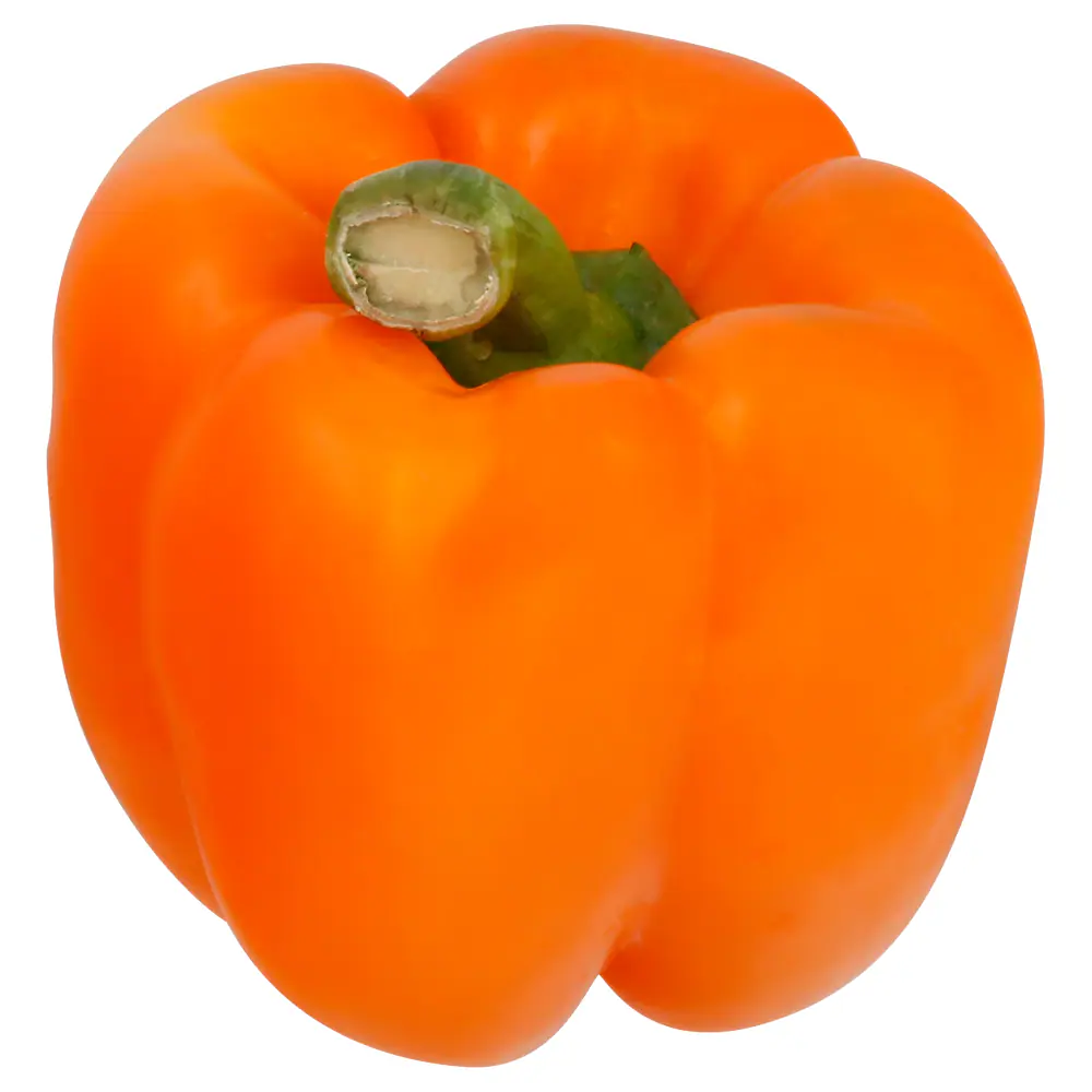 Orange Bell Pepper