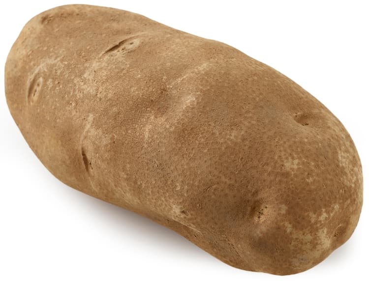 Fresh Russet Potato