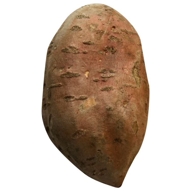 Sweet Potato