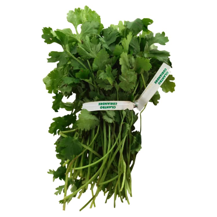 Fresh Cilantro