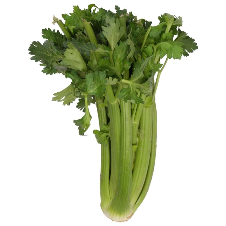 Organic Celery Bunch
