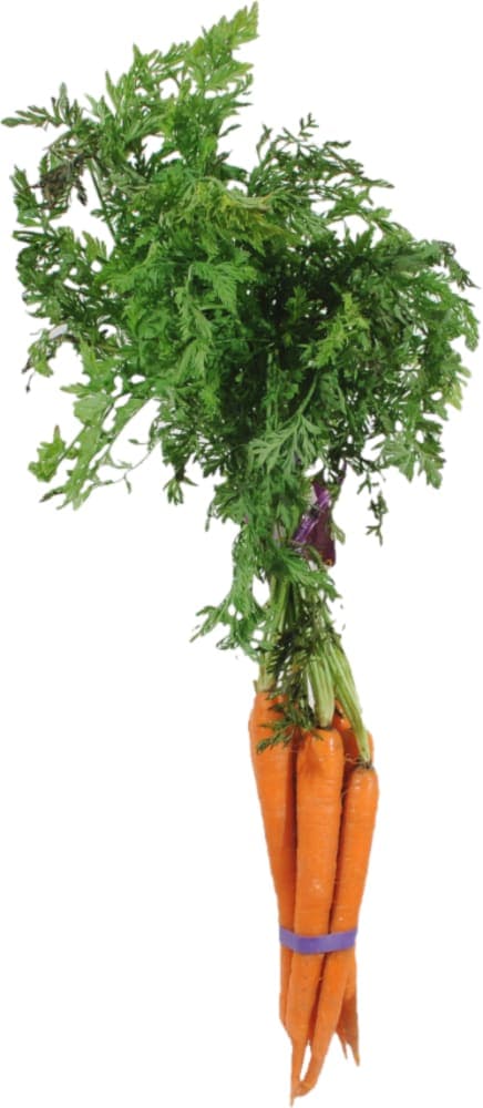Organic Bunch Carrots